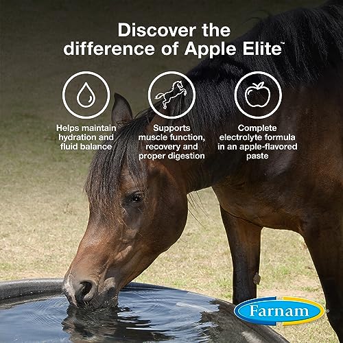 Farnam Apple Elite Horse Electrolyte Paste, Rapid replenisment of minerals lost in sweat during exercise, extreme weather and stressful conditions, 60 cc