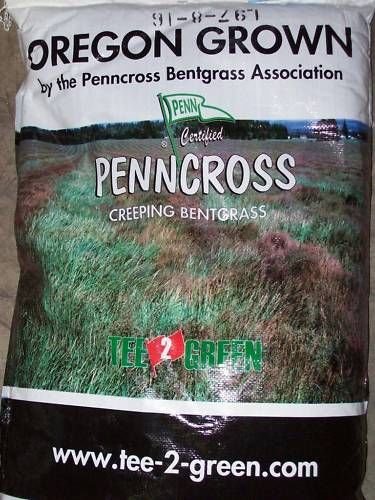 PENNCROSS BENTGRASS ONE POUND GOLF PUTTING GREEN SEED