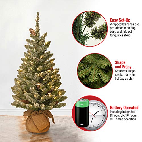 National Tree Company Pre-lit Artificial Mini Christmas Tree | Includes Small White LED Lights and Cloth Bag Base | Snowy Concolor Fir Burlap - 3 ft, Brown/Green