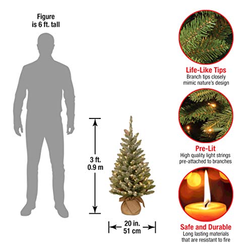 National Tree Company Pre-lit Artificial Mini Christmas Tree | Includes Small White LED Lights and Cloth Bag Base | Snowy Concolor Fir Burlap - 3 ft, Brown/Green