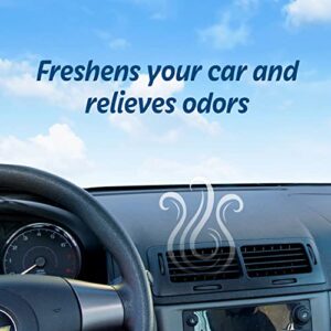 Refresh Your Car Air Freshener, Odor Eliminator, Set of 2 Mini Car Oil Diffusers, Hawaiin Sunrise Scent, Refresh Your Car