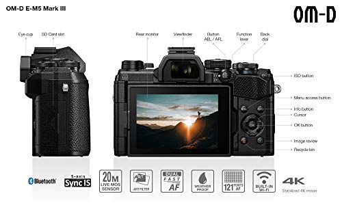 Olympus OM-D E-M5 Mark II Body Mirrorless Digital Camera [Black]International Version (No Warranty)