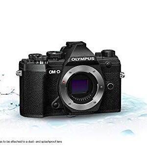 Olympus OM-D E-M5 Mark II Body Mirrorless Digital Camera [Black]International Version (No Warranty)