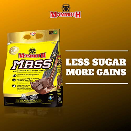 MAMMOTH MASS: Weight Gainer, High Calorie Protein Powder Workout Smoothie Shake, Meal Replacement, Low Sugar, Whey Isolate Concentrate, Casein Protein Blend, Weight Training, High Protein (Chocolate, 5lb)