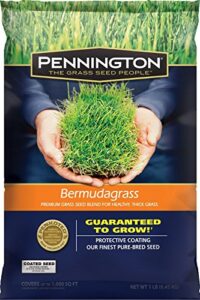 pennington premium blend bermuda grass, 1 lb.