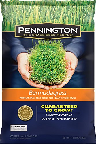 Pennington Premium Blend Bermuda Grass, 1 lb.