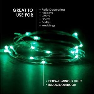 RTGS Products Green Colored LED Lights Indoor Outdoor String Lights, Fairy Lights Battery Powered Patio, Bedroom, Holiday Decor, etc.