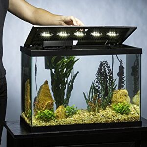 Tetra Aquarium 20 Gallon Fish Tank Kit, Includes LED Lighting and Decor