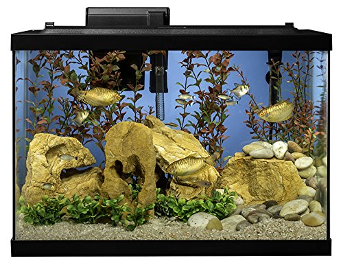 Tetra Aquarium 20 Gallon Fish Tank Kit, Includes LED Lighting and Decor