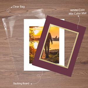 Golden State Art, Pack of 10 11x14 Double Picture Mats with White Core Bevel Cut for 8x10 Pictures + Backing + Bags, Mix Color