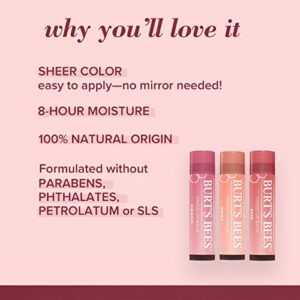 Burt's Bees Lip Balm, Tinted Moisturizing Lip Care for Women, for Dry Lips, 100% Natural, with Shea Butter, Pink Blossom (2 Pack)