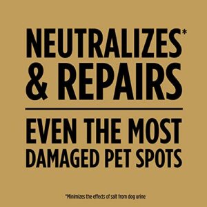 Scotts EZ Seed Dog Spot Repair Sun and Shade - 2 Lb., Mulch, Seed and Soil Amendment with Protectant and Tackifier, Repairs Pet Spots