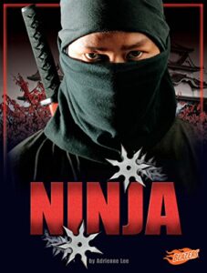 ninja (legendary warriors)