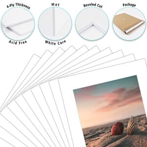 Golden State Art, White Pre-Cut 11x14 Picture Mat for 8.5x11 Photo, with Acid Free White Core High Premier Bevel Cut Mattes (10-Pack)