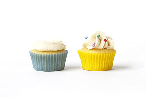 Miss Jones Baking Organic Buttercream Frosting, Perfect for Icing and Decorating, Vegan-Friendly: Vanilla (Pack of 1)