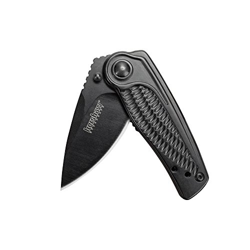 Kershaw Spoke Pocket Knife, 2" 4Cr14 Steel Blade with BlackWash Coatin, Compact Assisted-Opening EDC