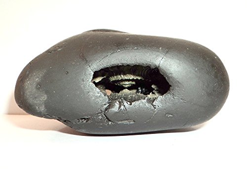 Janardhana Shaligram