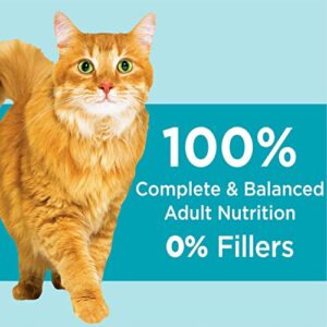 IAMS PROACTIVE HEALTH Adult Indoor Weight Control & Hairball Care Dry Cat Food with Chicken & Turkey Cat Kibble, 22 lb. Bag