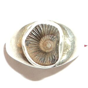 Sudarshan Shaligram Ring In Pure Silver