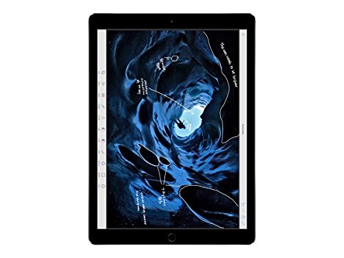 Apple iPad Pro (32GB, Wi-Fi, Space Gray) 12.9in Tablet (Renewed)