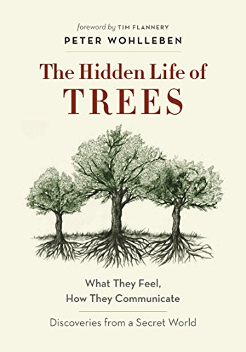 The Hidden Life of Trees: What They Feel, How They Communicate—Discoveries from A Secret World (The Mysteries of Nature Book 1)