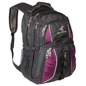 exos backpack, (laptop, travel, academics or business) urban commuter (black with purple trim)