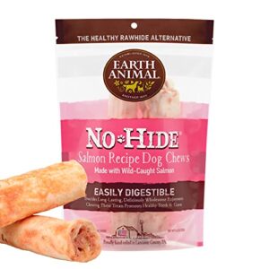 earth animal no hide medium salmon flavored natural rawhide free dog chews long lasting dog chew sticks | dog treats for large dogs | great dog chews for aggressive chewers (1 pack)