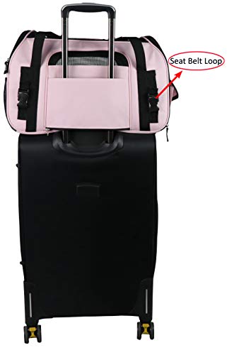 EliteField Soft Sided Pet Carrier (3 Year Warranty, Airline Approved), Multiple Sizes and Colors Available (Large: 19" L x 10" W x 13" H, Pink)