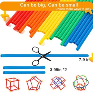 RAINBOW TOYFROG Building Straws and Connectors - STEM Blocks Construction Toys for Boys & Girls - 300 Pcs Straw Building Set - Engineering Connector Blocks for Kids