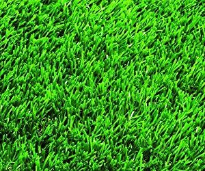 Nature's Seed TURF-CYDA-5000-F Bermudagrass Seed Blend, 5000 sq. ft.