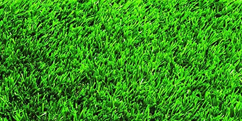 Nature's Seed TURF-CYDA-5000-F Bermudagrass Seed Blend, 5000 sq. ft.