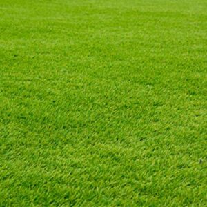 Nature's Seed TURF-CYDA-5000-F Bermudagrass Seed Blend, 5000 sq. ft.