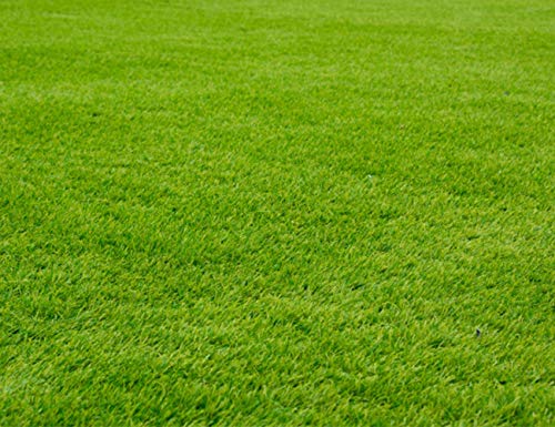 Nature's Seed TURF-CYDA-5000-F Bermudagrass Seed Blend, 5000 sq. ft.