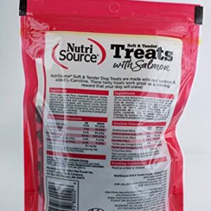(3 Pack) Nutri Source Soft/Tender Dog Treat Flavor: Salmon 6-Ounces