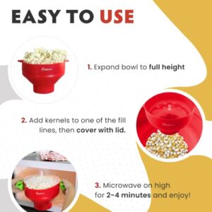 Salbree The Original Microwave Popcorn Popper, Silicone Popcorn Maker, Collapsible Microwavable Bowl - Hot Air Popper - No Oil Required - The Most Colors Available (Blue)