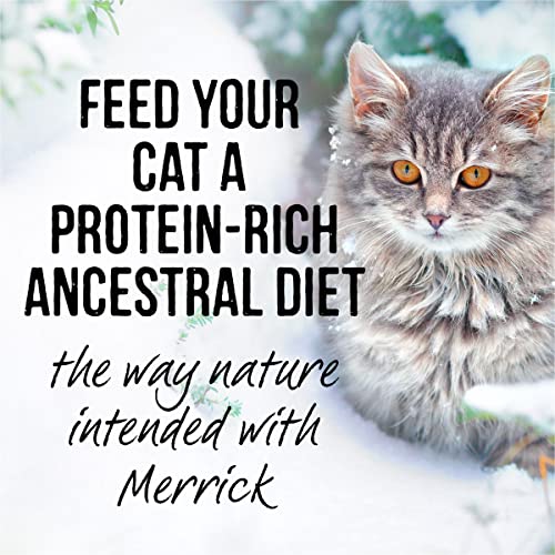 Merrick Backcountry Grain Free Wet Cat Food Real Turkey Recipe Cuts in Gravy - (24) 3 oz. Pouches