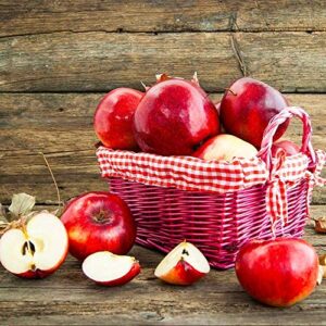 Brighter Blooms - Dwarf Red Delicious Apple Tree, 5-6 Ft. - A Supermarket Favorite, Grown at Home - No Shipping to AZ, ID, OR, or CA