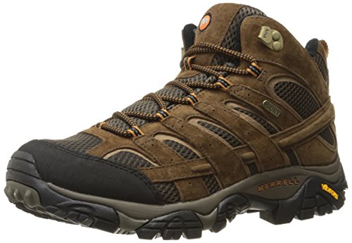 Merrell Men's Moab 2 Mid Waterproof Hiking Boot, Earth, 10.5 Wide 2E US