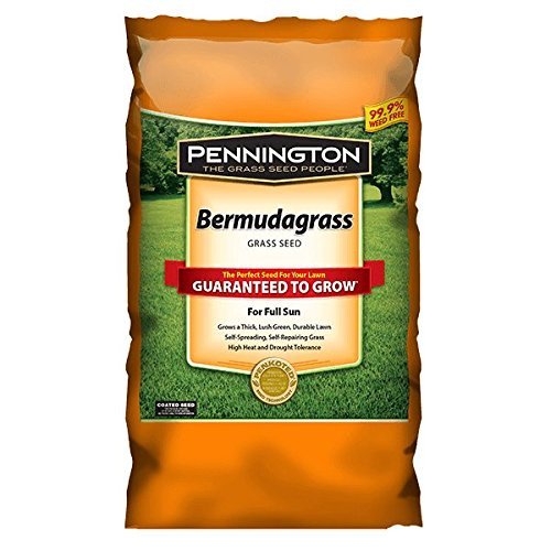 Pennington Seed 1 lb Bermuda Grass Seed