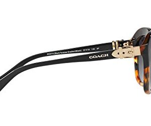 COACH HC8184-5404T3 Sunglasses L1600 BLACK TORTOISE GRADIENT/w/GREY GRADIENT POLAR 57mm