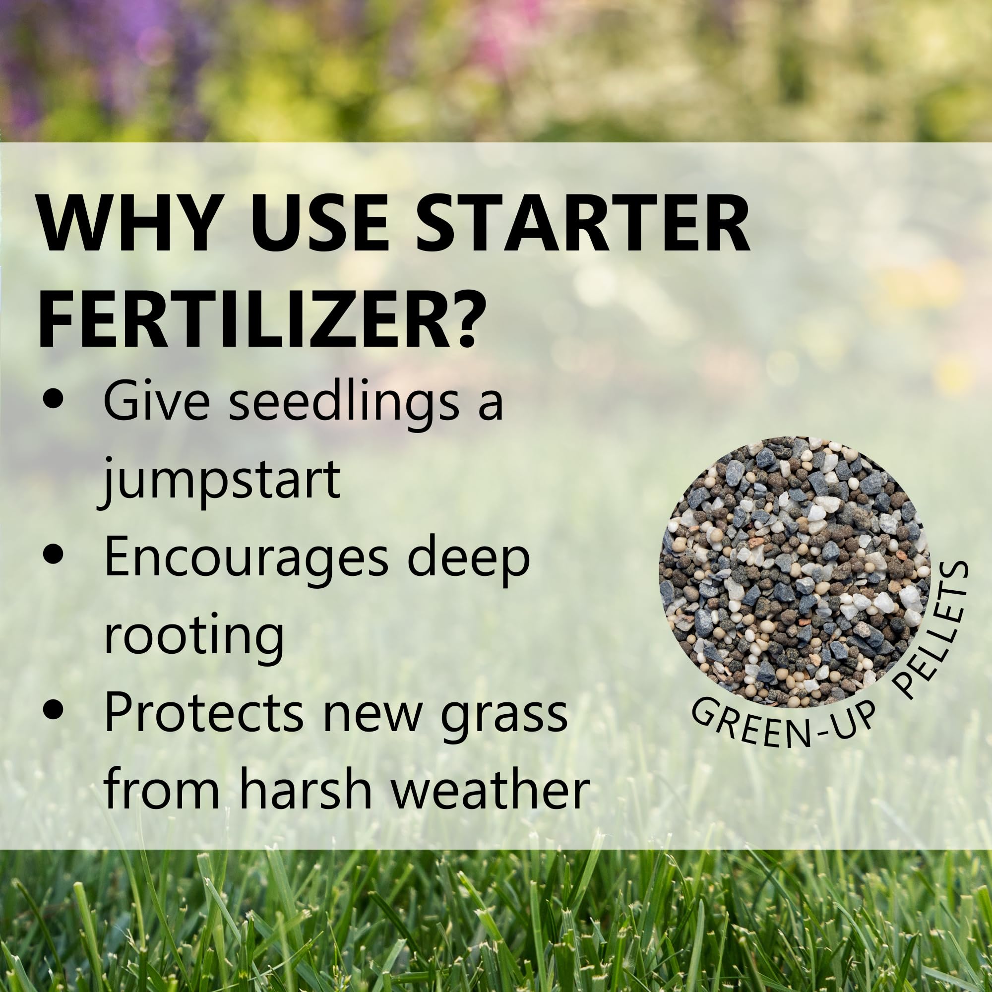 Jonathan Green (11540) Green-Up Lawn Food for Seeding & Sodding - 12-18-8 Grass Fertilizer (1,500 Sq. Ft.)