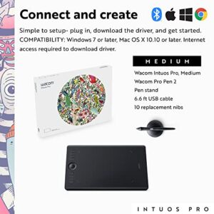 Wacom Intuos Pro Medium Bluetooth Graphics Drawing Tablet, 8 Customizable ExpressKeys, 8192 Pressure Sensitive Pro Pen 2 Included, Compatible with Mac OS and Windows,Black