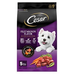 cesar adult small breed dry dog food, filet mignon flavor with spring vegetables garnish, 5 lb. bag