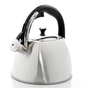mr. coffee belgrove 2.5 quart stainless steel tea kettle, silver