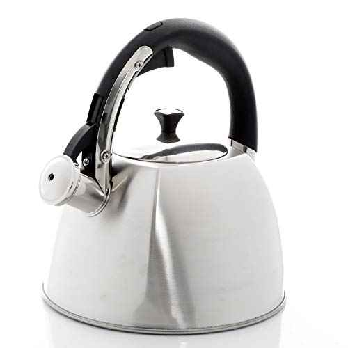 Mr. Coffee Belgrove 2.5 Quart Stainless Steel Tea Kettle, Silver