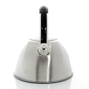 Mr. Coffee Belgrove 2.5 Quart Stainless Steel Tea Kettle, Silver