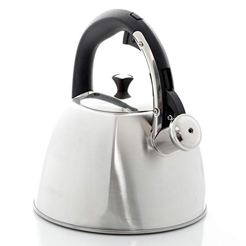 Mr. Coffee Belgrove 2.5 Quart Stainless Steel Tea Kettle, Silver