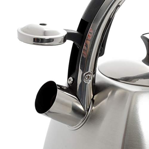 Mr. Coffee Belgrove 2.5 Quart Stainless Steel Tea Kettle, Silver