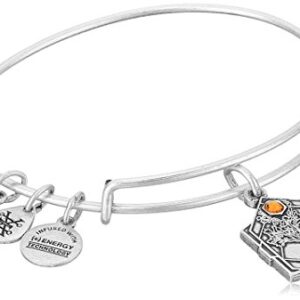 Alex and Ani Path of Symbols Expandable Bangle for Women, Tree of Life Charm, Rafaelian Silver Finish, 2 to 3.5 in
