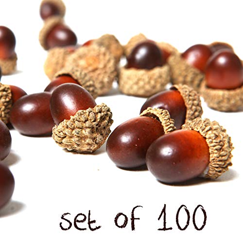 MyGift 100 Pieces Brown Assorted Artificial Acorn Caps, Autumn Vase Filler Decorations